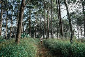 BIB: 
                            <button type="button" onclick="openModal(25657221)" class="btn btn-primary btn-sm float-right btn-popup" data-toggle="modal" data-target=".modal-high-quality">
                        <i class="fas fa-shopping-cart"></i> Add to Cart
                    </button>
                                            <button type="button" onclick="isThisMe(25657221, true)" class="btn btn-success btn-sm float-right btn-popup btn-isme hidden" data-toggle="tooltip" data-placement="bottom" title="นี่คือรูปของคุณใช่ไหม คลิกที่นี่เพื่อเอาเข้าอัลบั้ม">
                        <i class="fas fa-plus"></i> Add to album
                    </button>
                    <button type="button" onclick="isThisMe(25657221, false)" class="btn btn-warning btn-sm float-right btn-popup btn-isnotme hidden">
                        <i class="fas fa-ban"></i> Remove from album
                    </button>